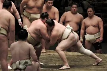 <p>A braced sumo wrestler is pushed across the ring by another wrestler</p>