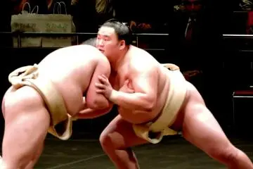 <p>Giants clashing in the sumo ring</p>