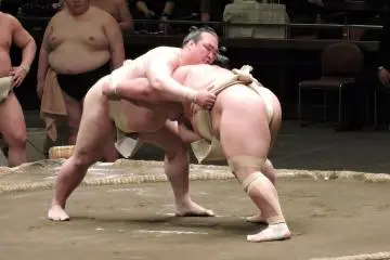<p>The loincloths of sumo wrestlers can be used as 'handles'</p>