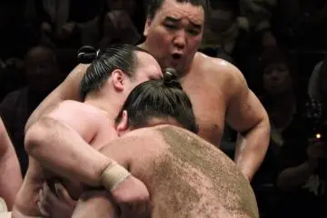 <p>Looks painful!</p>