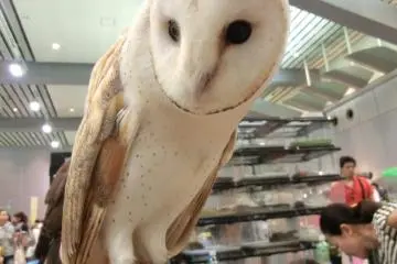 So Soft...
