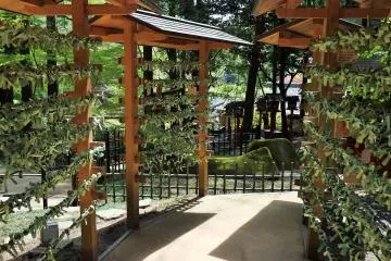 <p>Couple tie their names, written on sacred green paper, here.</p>
