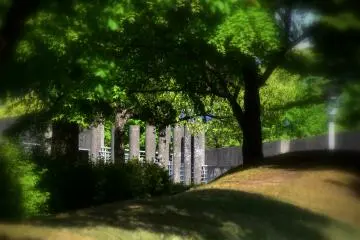 Cahaya dan bayangan di taman museum