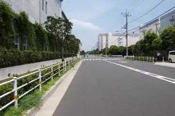 Another long, flat straight