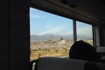 <p>View from the train to Tokyo</p>