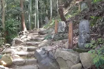 <p>Jalan berliku di bukit</p>