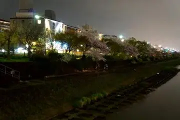 <p>강가에서 한가롭게 자전거를 타던 두 사람</p>