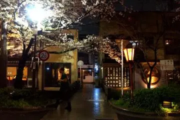 <p>기온 거리</p>
