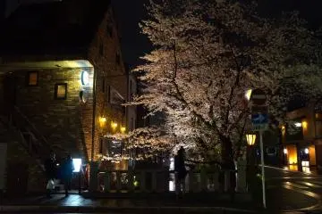 <p>기온 거리</p>