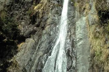 Forest Waterfall