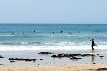 Exciting Views of Surfers and Ocean