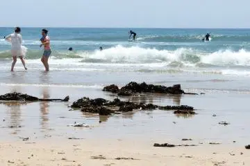 <p>The beach however is not only great for surfers. Many other people go to the beach just to enjoy the water and the sand, to cheer their surfing friends on and ...</p>
