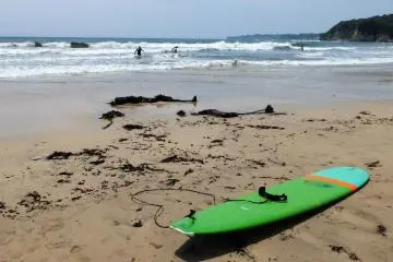 <p>The surfer's gear is usually very colorful, that goes for surfboards as well as their suits.&nbsp;</p>