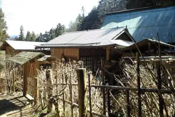 Cabin in the Wilderness
