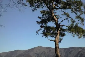 View of the Surrounding Mountains