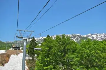 <p>Passing spring green trees!</p>