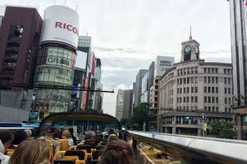 <p>Ginza&nbsp;main street.</p>