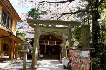 <p>헤매던 중간에 찾은 작은 신사. 돌로 만들어진 도리이와 벚꽃, 기모노 모양의 에마가 인상적이였어요.</p>
