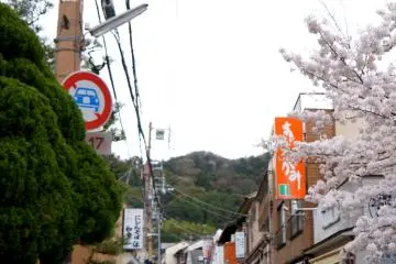 <p>긴카쿠지(은각사)로 가는 길! 인산인해...</p>