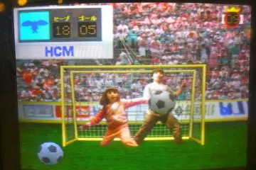 soccer simulation game