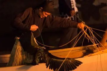 <p>The fisherman gets a fish from a cormorant's beak</p>