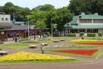 This is the flower plaza. The flowers, which are changed according to season, will bring a smile to your lips. (Photo: Yuuko Tanaka)