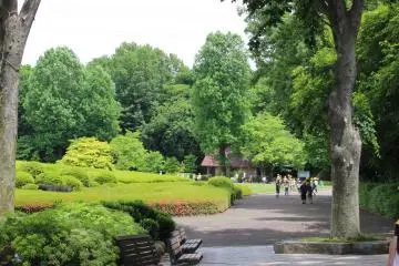 The season for green leaves. Walking past a natural forest and azaleas, a large lawn opens up. (Photo: Yuuko Tanaka)