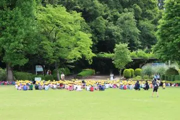 A large lawn, perfect for an outing to play and spread out with a lunchbox. (Photo: Yuuko Tanaka)