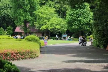 Being under the cool shade of a tree is a truly special feeling.