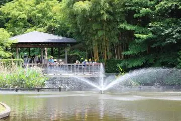 The water fountain at swan lake. Besides a pair of swans, waterfowl also frequent this lake.