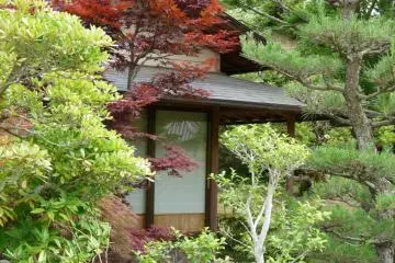 small Japanese building in the park