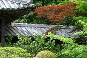 looking at the temple within the park
