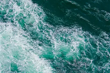 <p>Deep emerald seas of Japan</p>