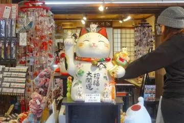 <p>ฉันชอบแมวนำโชคตัวนี้</p>