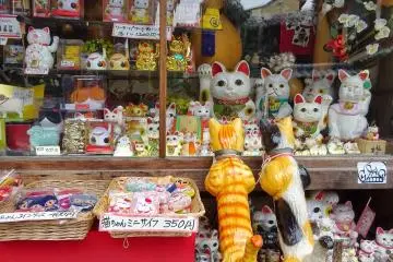 <p>แมวนำโชคหลายแบบหลายขนาด</p>