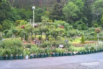 วิวแรกของสวน