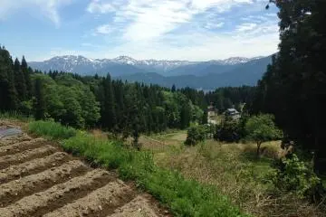 <p>While standing near a rice field and talking with a farmer, I was able to see the mountains.</p>