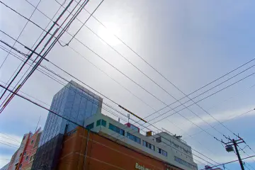Neat tram lines crisscrossing&nbsp;the streets of downtown