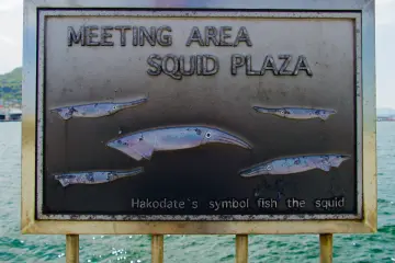 Squid: Hakodate's iconic symbol
