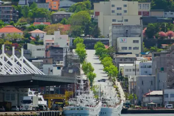 Picturesque view from the port