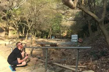 Rule #1: Don't look monkeys directly in the eyes. The monkeys at Monkey Park Iwatayama are rather friendly but are still wild animals.