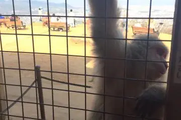 The view from the inside out. 