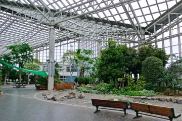 <p>Indoor garden next to the port tower - winter is that bad here?</p>