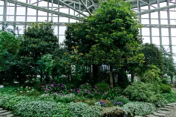 <p>Green shrubbery gives the feeling of warmth even on a cold day in Akita.</p>