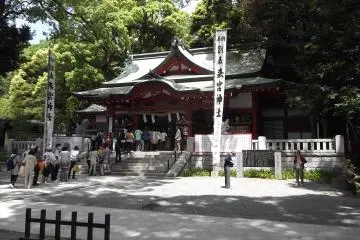 Gallery image