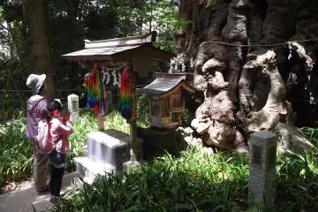 <p>Praying at a shrine behind the main hall</p>