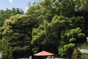 <p>The sunny terrace at the side</p>