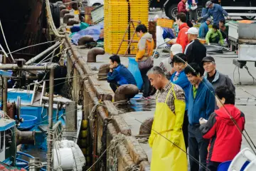 <p>Market traders scanning newly arrived boats</p>