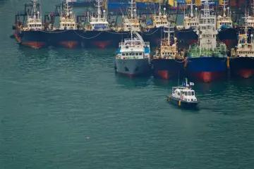 <p>Trawlers neatly docked in port</p>