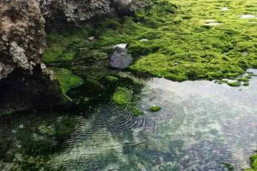 <p>Tide pool and rock formations line the shore.</p>